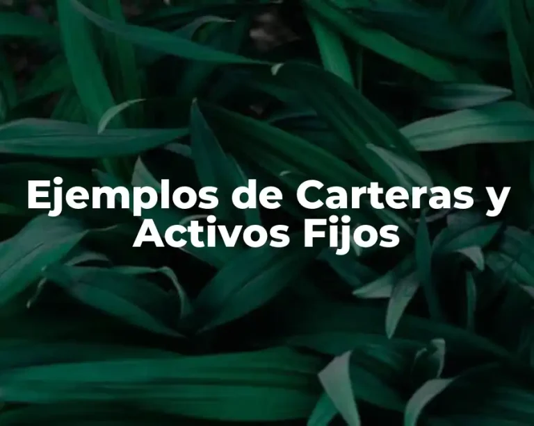 Ejemplos de Carteras y Activos Fijos