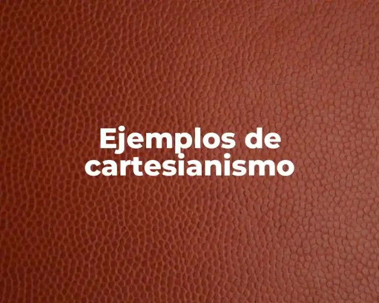 Ejemplos de cartesianismo