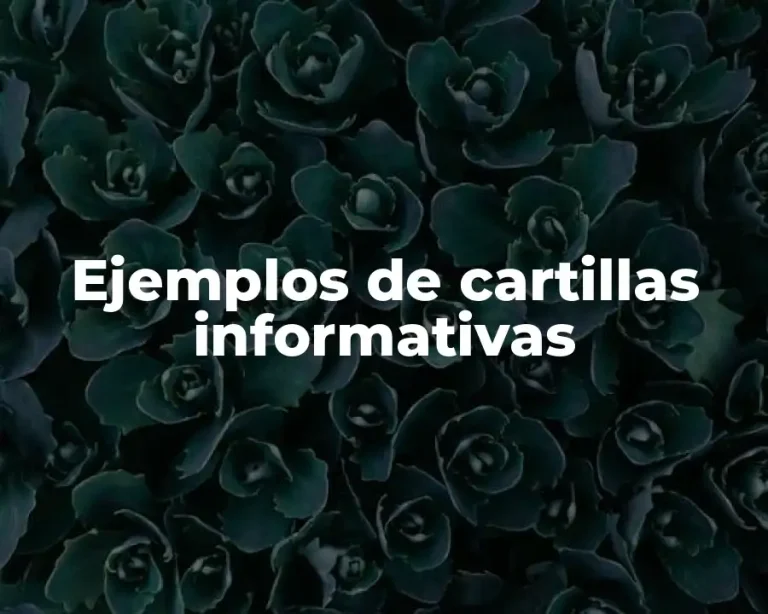 Ejemplos de cartillas informativas