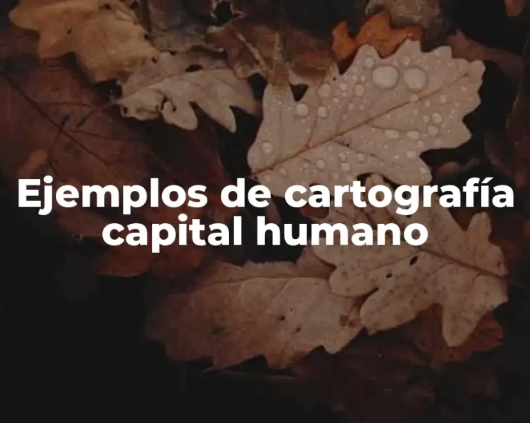 Ejemplos de cartografía capital humano