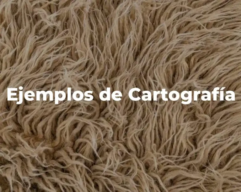 Ejemplos de Cartografía