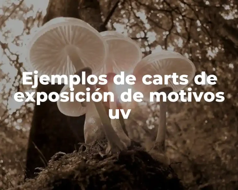 Ejemplos de carts de exposición de motivos uv