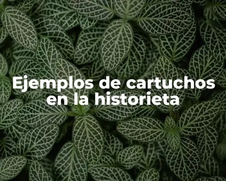 Ejemplos de cartuchos en la historieta
