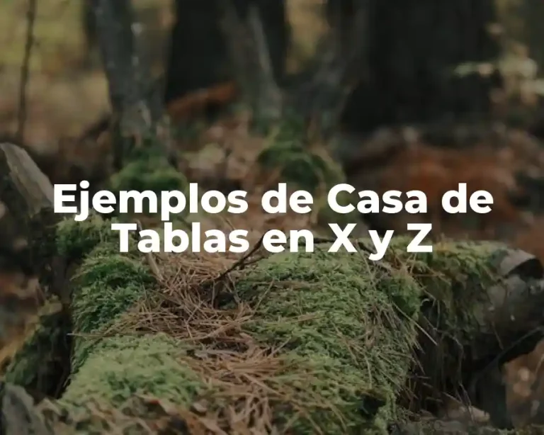 Ejemplos de Casa de Tablas en X y Z