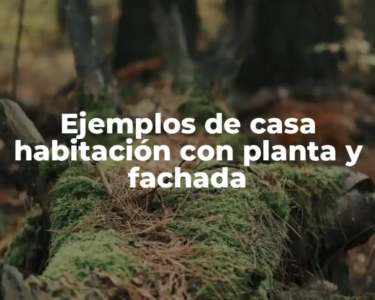 Ejemplos de casa habitación con planta y fachada