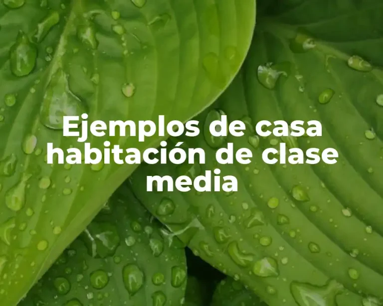 Ejemplos de casa habitación de clase media