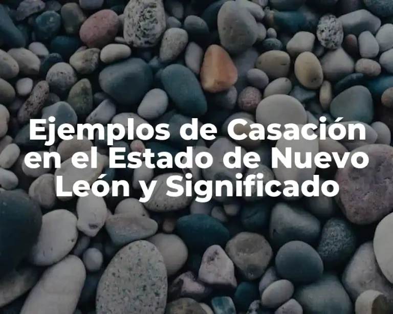 Ejemplos de Casación en el Estado de Nuevo León y Significado