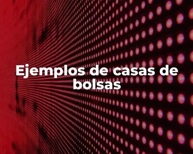 Ejemplos de casas de bolsas