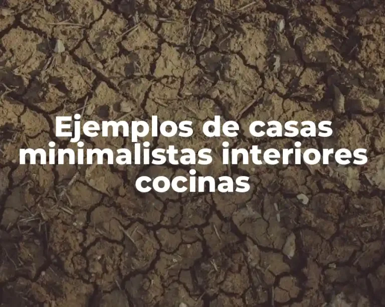 Ejemplos de casas minimalistas interiores cocinas