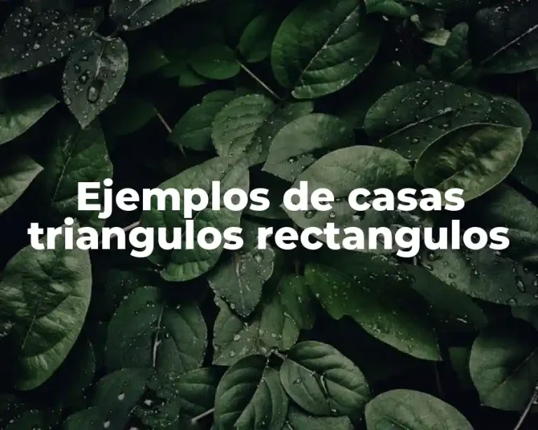 Ejemplos de casas triangulos rectangulos