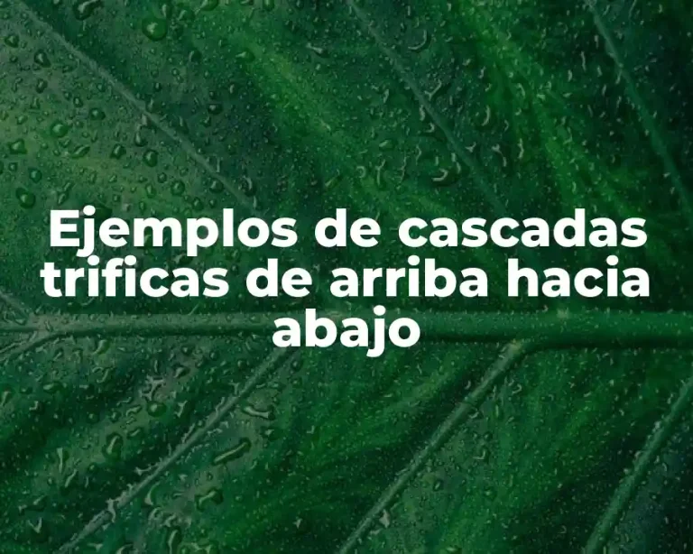 Ejemplos de cascadas trificas de arriba hacia abajo
