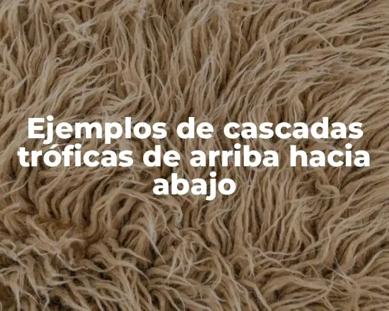 Ejemplos de cascadas tróficas de arriba hacia abajo