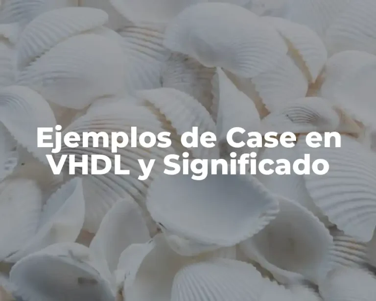 Ejemplos de Case en VHDL y Significado