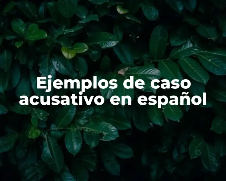 Ejemplos de caso acusativo en español