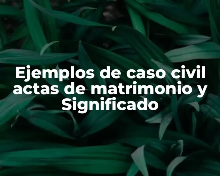 Ejemplos de caso civil actas de matrimonio y Significado