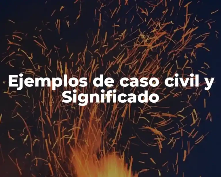 Ejemplos de caso civil y Significado