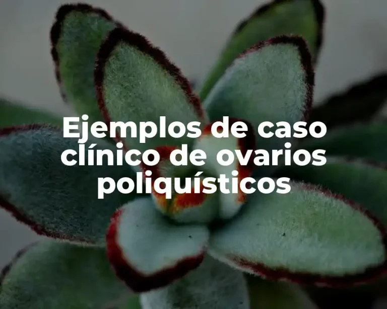 Ejemplos de caso clínico de ovarios poliquísticos