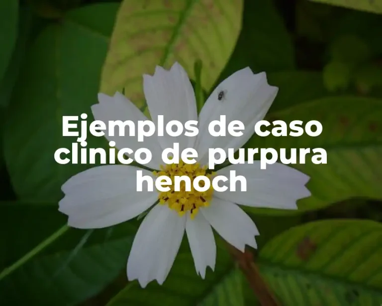 Ejemplos de caso clinico de purpura henoch