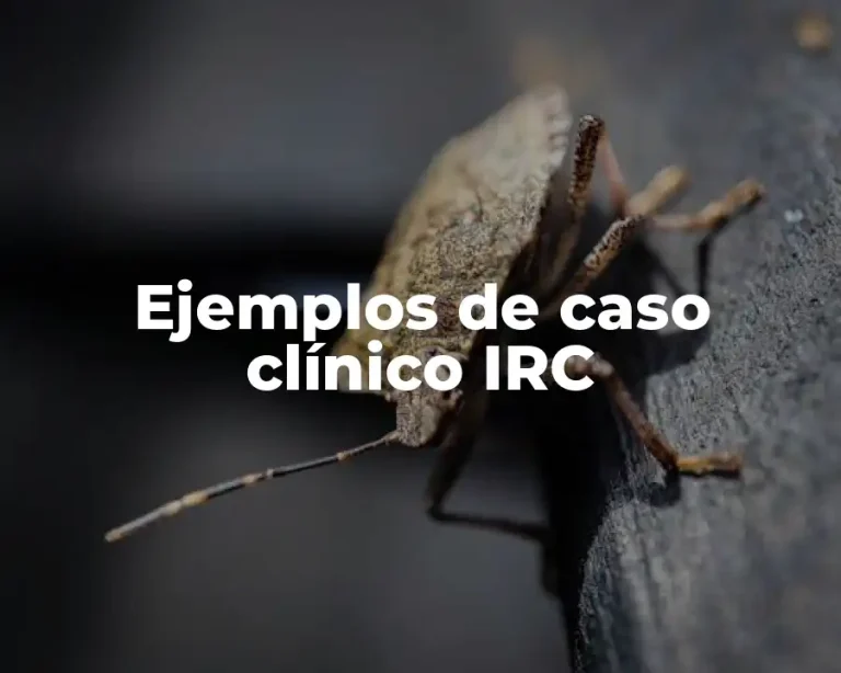 Ejemplos de caso clínico IRC