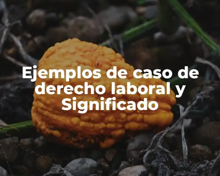 Ejemplos de caso de derecho laboral y Significado