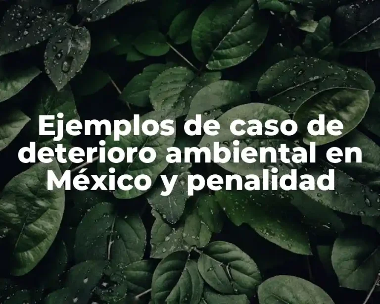 Ejemplos de caso de deterioro ambiental en México y penalidad