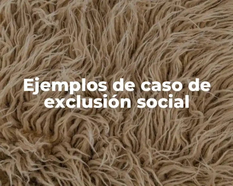 Ejemplos de caso de exclusión social