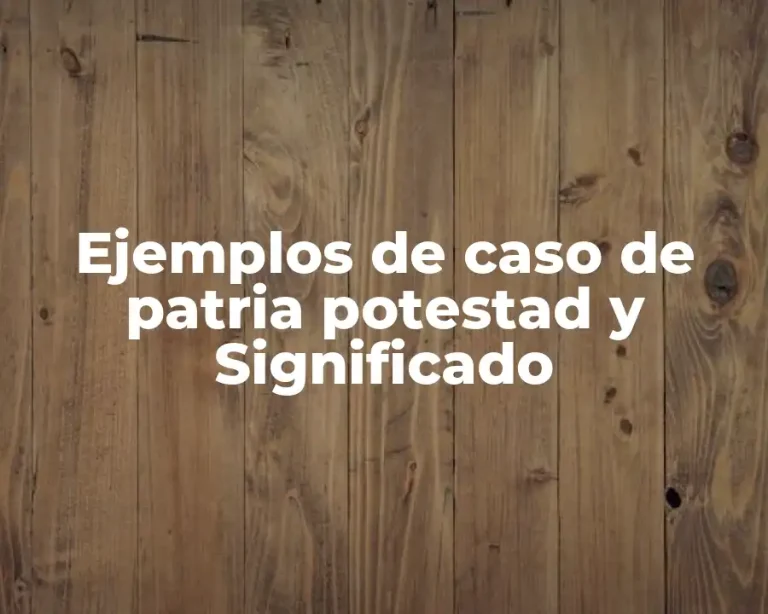 Ejemplos de caso de patria potestad y Significado