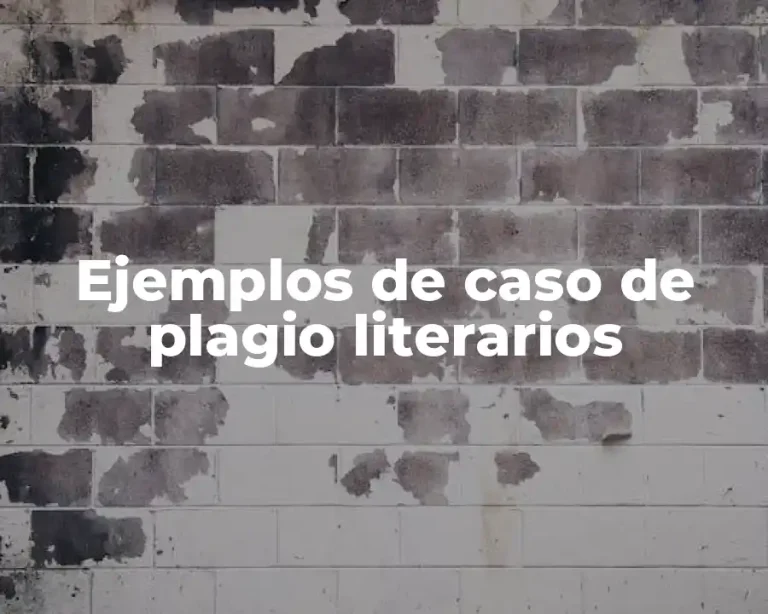 Ejemplos de caso de plagio literarios