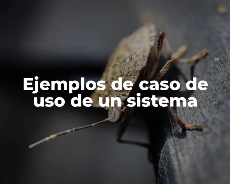 Ejemplos de caso de uso de un sistema