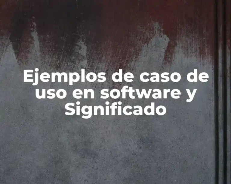 Ejemplos de caso de uso en software y Significado