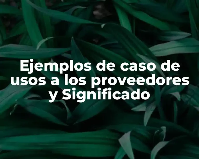 Ejemplos de caso de usos a los proveedores y Significado