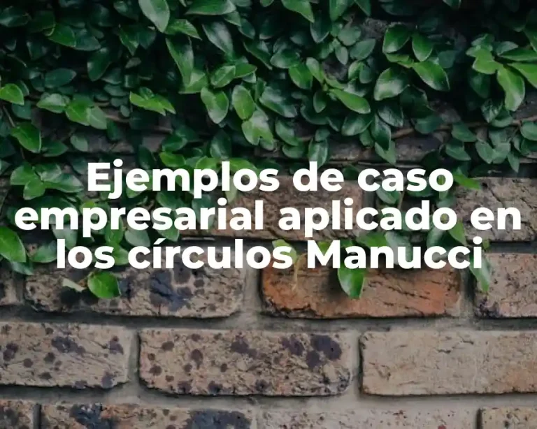 Ejemplos de caso empresarial aplicado en los círculos Manucci