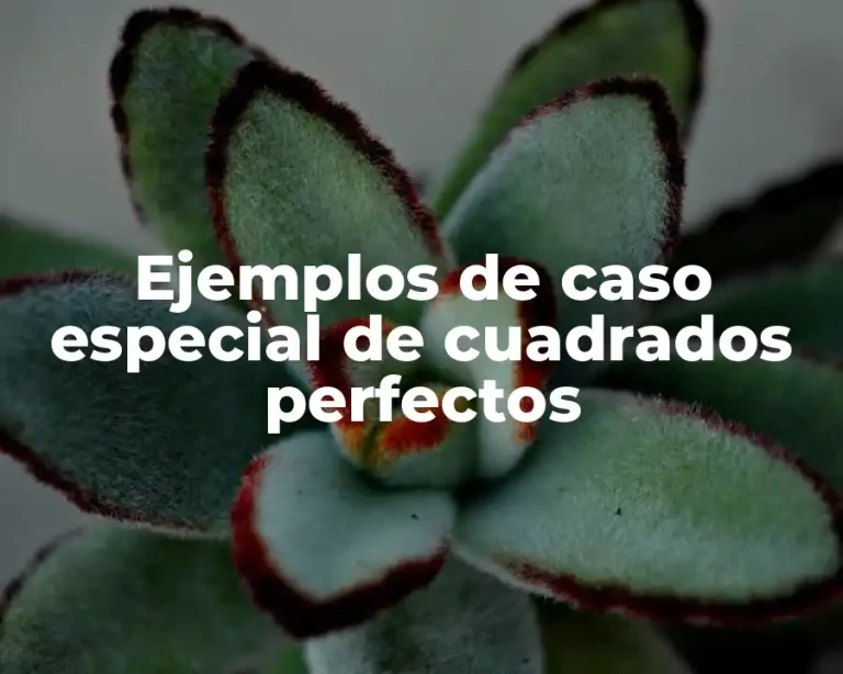 Ejemplos de caso especial de cuadrados perfectos