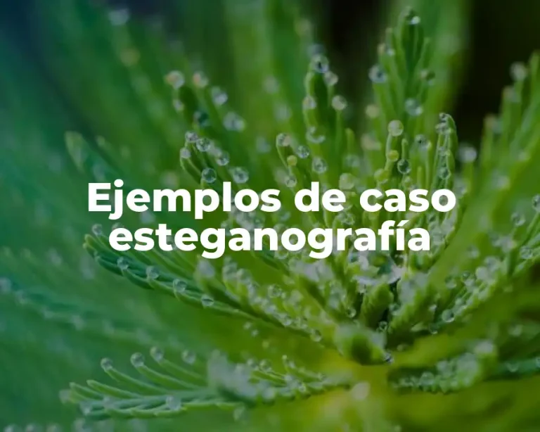 Ejemplos de caso esteganografía