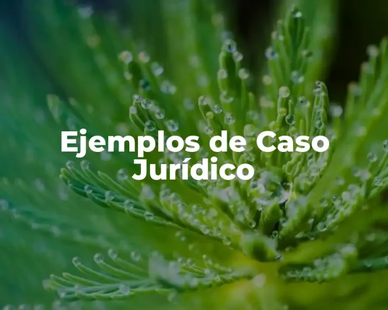 Ejemplos de Caso Jurídico