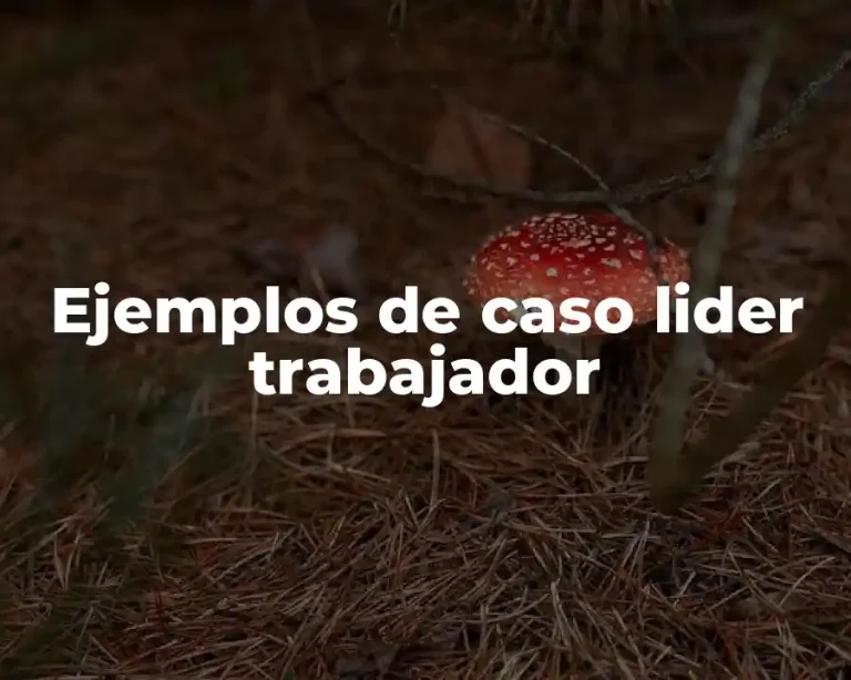 Ejemplos de caso lider trabajador