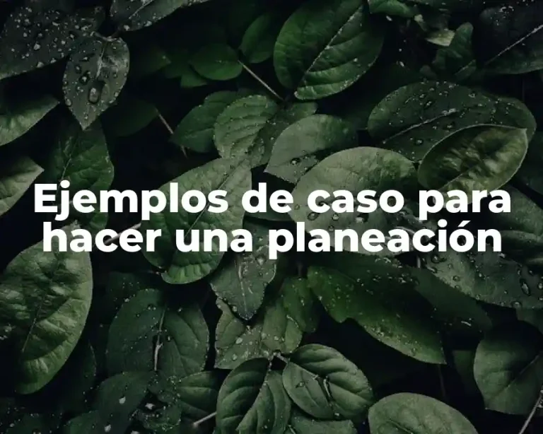 Ejemplos de caso para hacer una planeación