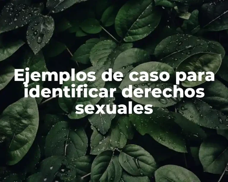Ejemplos de caso para identificar derechos sexuales