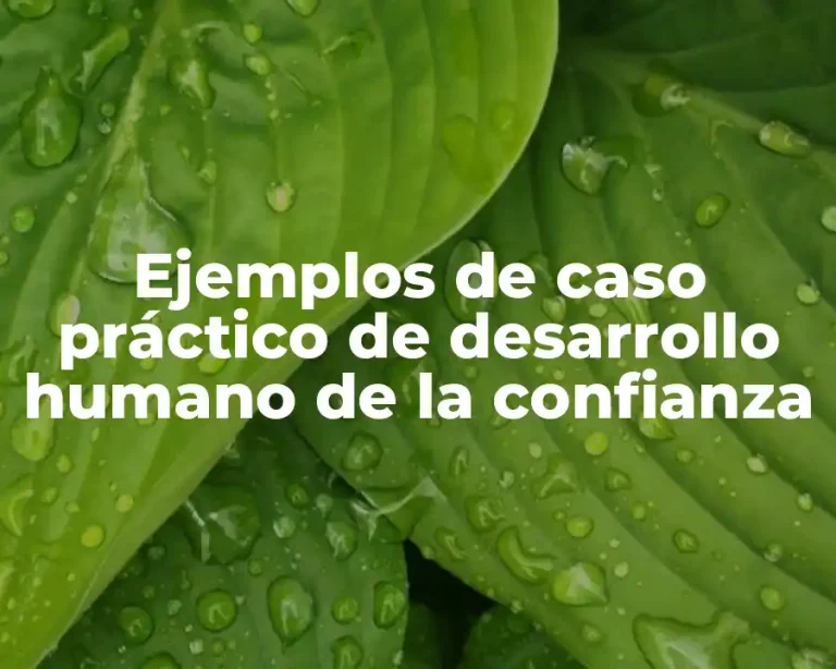 Ejemplos de caso práctico de desarrollo humano de la confianza