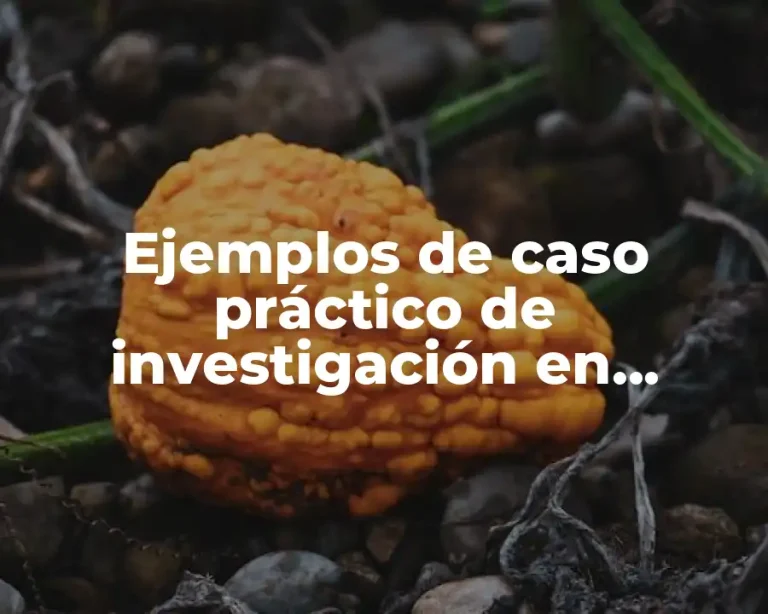Ejemplos de caso práctico de investigación en ciencias sociales