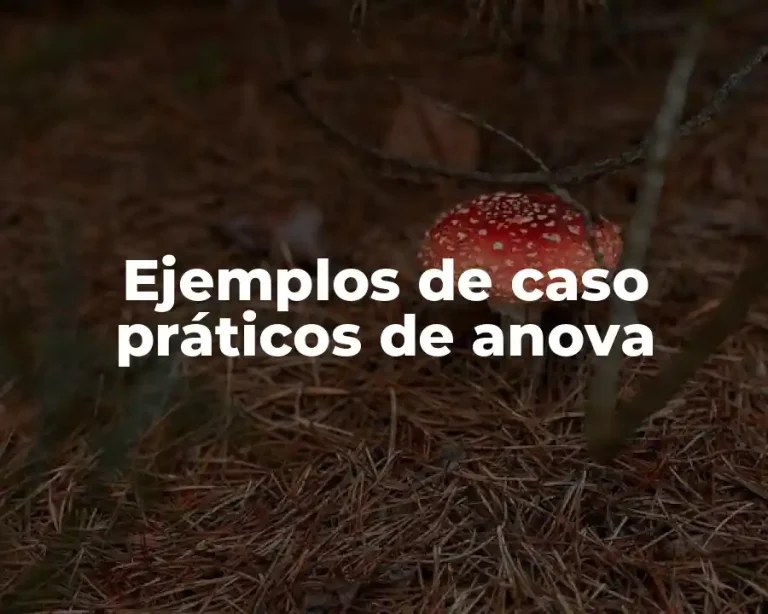 Ejemplos de caso práticos de anova