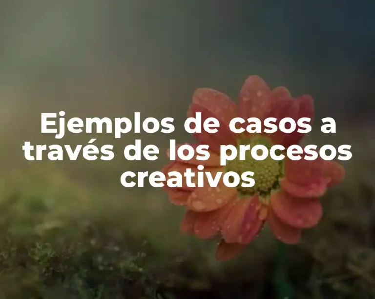 Ejemplos de casos a través de los procesos creativos