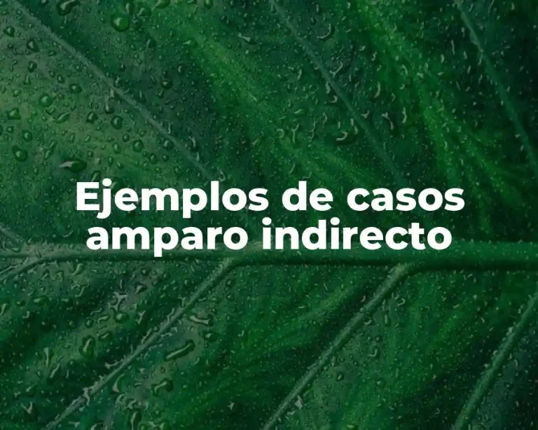 Ejemplos de casos amparo indirecto