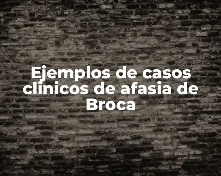 Ejemplos de casos clinicos de afasia de Broca