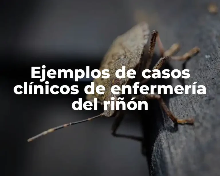 Ejemplos de casos clínicos de enfermería del riñón