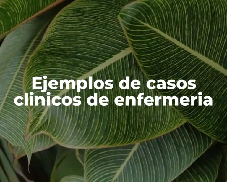 Ejemplos de casos clinicos de enfermeria