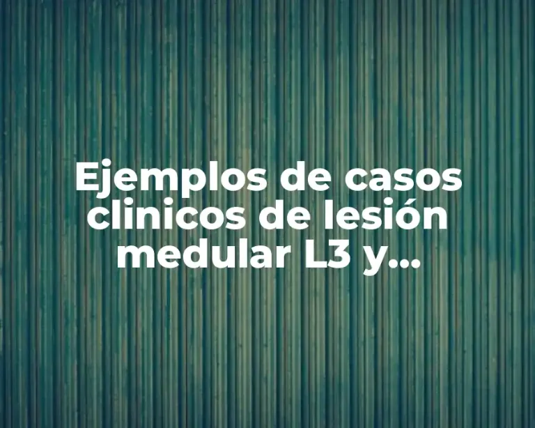 Ejemplos de casos clinicos de lesión medular L3 y Significado
