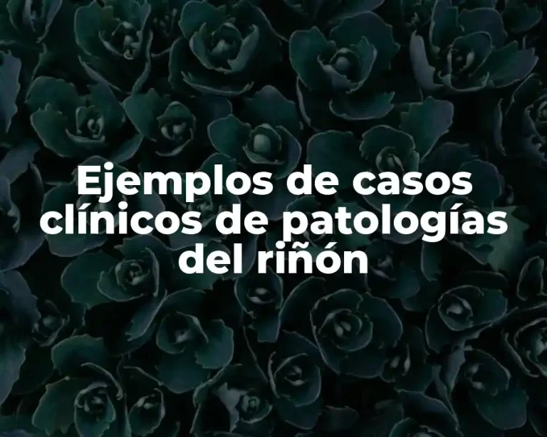 Ejemplos de casos clínicos de patologías del riñón