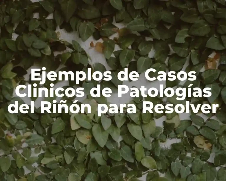 Ejemplos de Casos Clinicos de Patologías del Riñón para Resolver