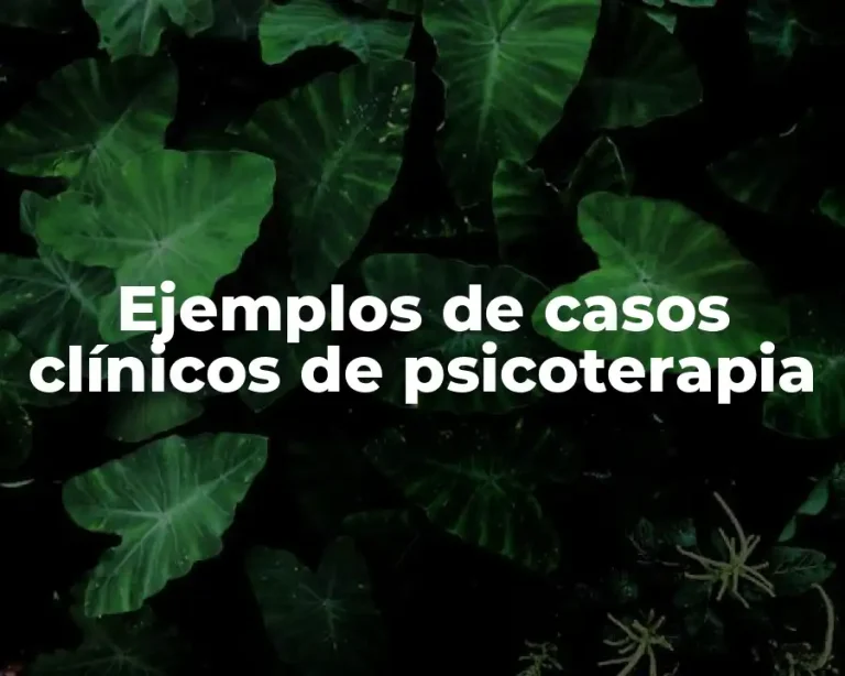 Ejemplos de casos clínicos de psicoterapia